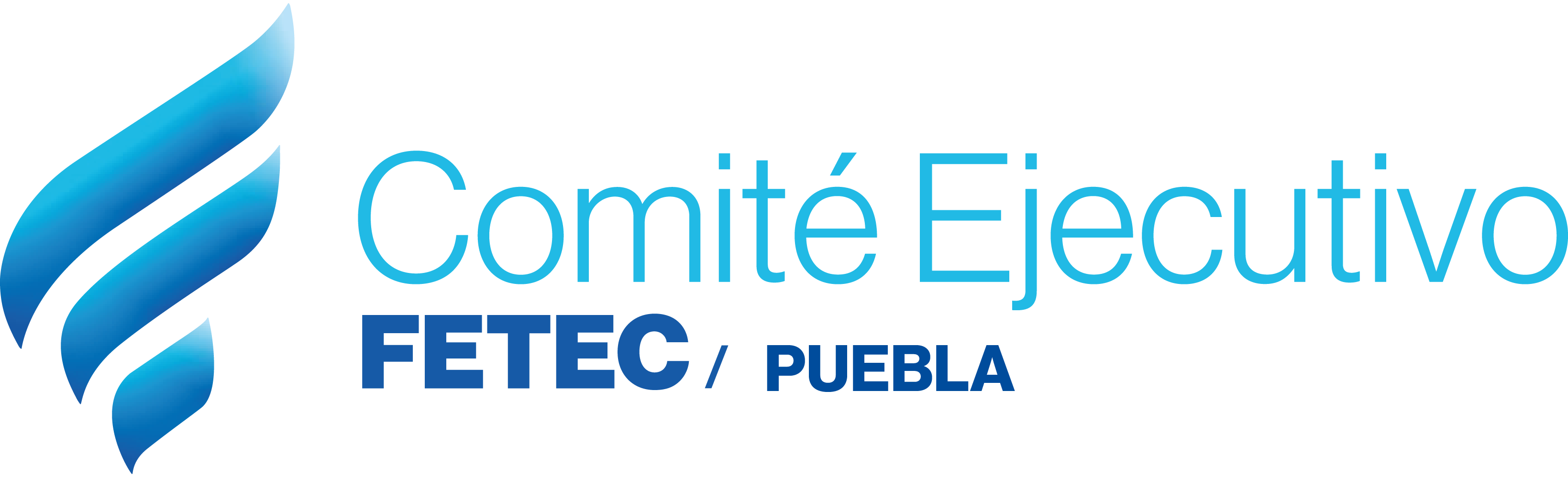 Logo Comité Ejecutivo